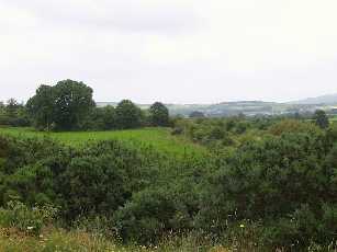 Abbeyfeale Altar field