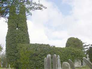 Drehidtrasna Church Ruin