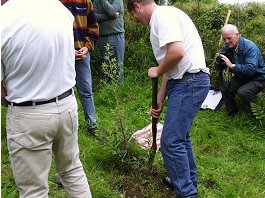 Planting the Tree