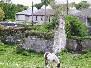Ruin of the old parish Church in Askeaton