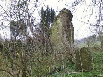 Ruin in the Church of Ireland graveyard