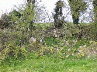 Remains of the Mass House in Ballymorrisheen