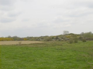 View of the surrounding countryside from Cappagh Church