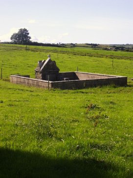 St Colman's Well