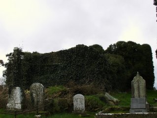 Church Ruin at Dromin Graveyard