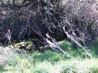 St Patrick's well