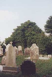 Cloncrew Church Ruin