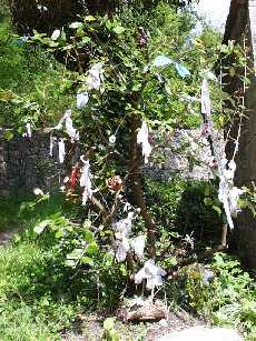 Offerings tree at St Brigid's Well