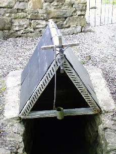 St Brigid's Well, Cartown