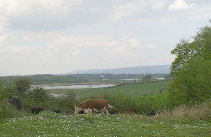 View from Killulta church