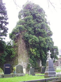 Church ruin in Kilfinane graveyard
