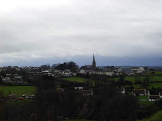View of Kilfinane from Ballyriggin townland