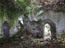 Clonelty church ruin