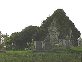 The Abbey ruin in Mahoonagh