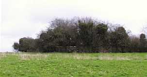 The overgrown graveyard at Killanahan