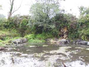 St Banbhan's Well