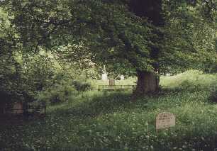 Lemonfield graveyard
