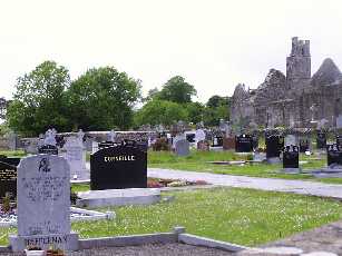 New section of Mungret graveyard