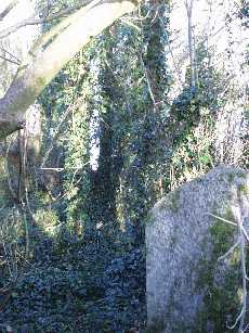 St Dominic's graveyard