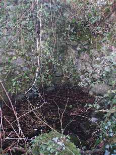St Dominic's Well