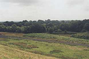 Site of Famine graveyard in Rosmada