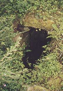 Ballycannon Holy Wells