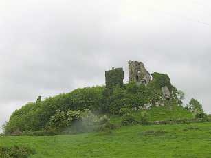 Carrigogunnell castle