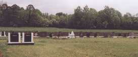 Patrickswell graveyard