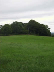 Kilcornan graveyard