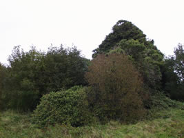 Rathnaseer church ruin