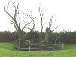 St Bernard's Well