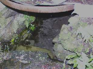 The Poorman's Well