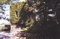 Ruins of Glin Castle